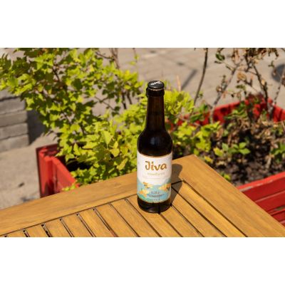 Комбуча імбирна