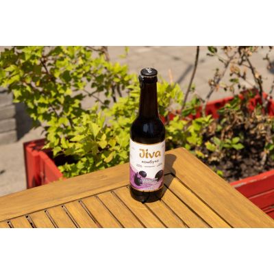 Комбуча ягідна